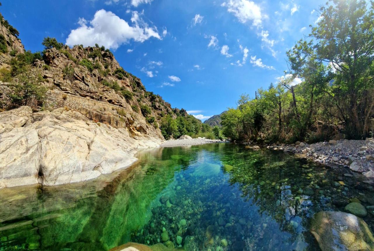 Vila Pianotolinca - Centru Di Corsica Moltifao Exteriér fotografie